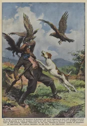 The Hunt for the Hunter