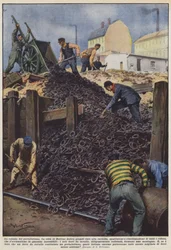 The pile of lucky charms