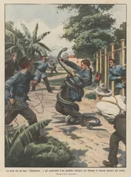 The fight between a boa constrictor and the attendants of a zoo to free the keeper