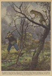 The Surprise of a Hunter