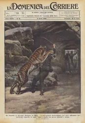 The Tragedy at the Rome Zoo