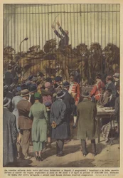 The Auction of the Beasts of the Schneider Circus in Naples