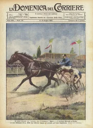 The Curious Challenges