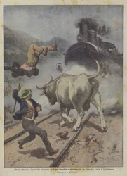 Enraged Cow Kills a Man and is Then Hit and Crushed by a Train Between Lucca and Castelnuovo