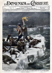 Seal fishermen, some of whom died, remained stranded on the ocean drifting ice. Illustration by Beltrame. La Domenica del Corriere. 12-19/04/1914.