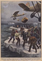 Rescued from the sky