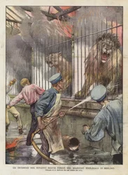 A Fire in the Ferocious Beasts Section of the Berlin Zoological Garden