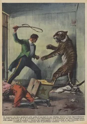 A Tamer Performing in a Tiger Cage in a French Town