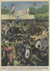 A Bull That Causes Carnage