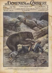 A Dramatic Scene at the Rome Zoo