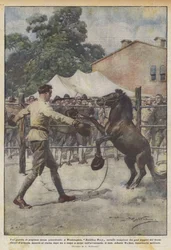 An unprecedented boxing match, in Washington, Battling Tony horse champion of weights