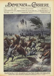 A picturesque horse escape in the countryside of Novara