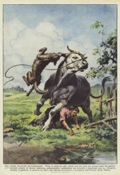 A Providential Ear Pull