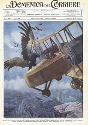 A Strange Aerial Clash