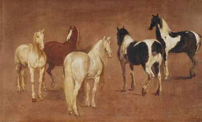 Study of Five Horses