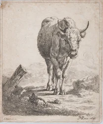 A Cow, Seen from the Front, 1805