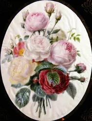 Study of roses