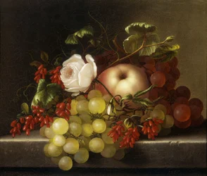 Still Life with Peach, Grapes and Rosehips