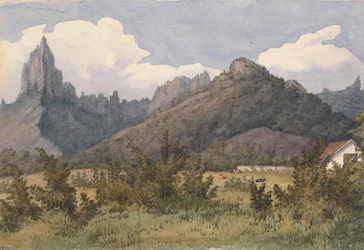 In Eimeo [Moorea, Society Islands], Aug 27th 1849