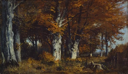 Beech Forest in Autumn