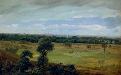 Landscape