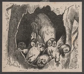 Owl with cubs, c. 1890