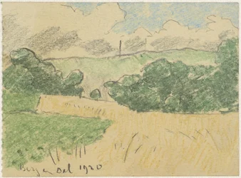 Cornfield Between Trees