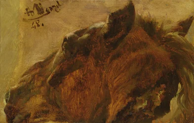 Head of a Dead Horse, 1848