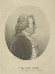 Portrait of Carl Linnaeus