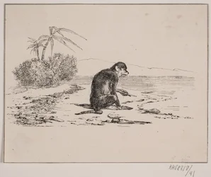 The Monkey