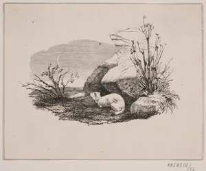 The Weasel