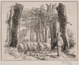 The Shepherd Boy