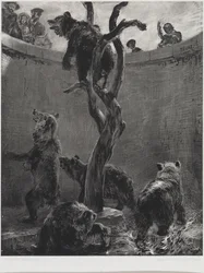 The Bear Enclosure in the Zoological Garden