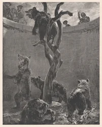 The Bear Pit in the Zoological Gardens