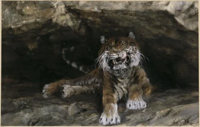 The Tiger. From the "Children