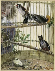 The Goldfinches and the Canary in the Cage. From the "Children