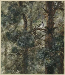 The Crested Tit in Pine Branches. From the “Children