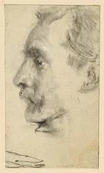Profile of a Man with a Mustache