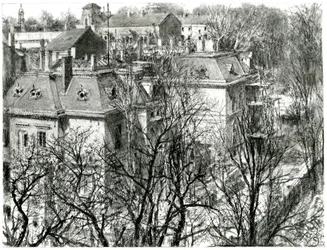 Houses Behind Bare Trees