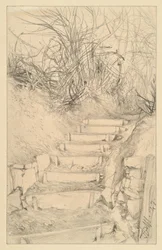 Outdoor Staircase with Undergrowth