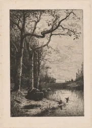 The Marshes of Burbanche
