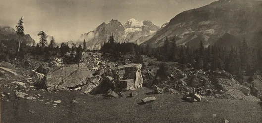 Alpine Landscape
