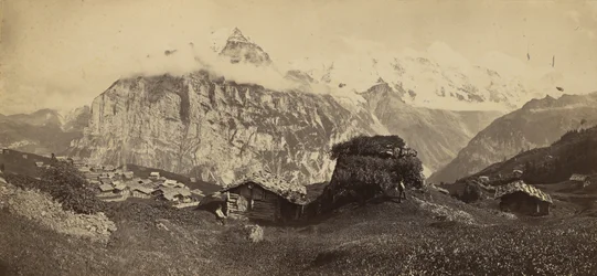 Alpine Landscape