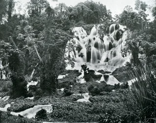 Roaring River Falls, Jamaica