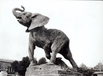 Young Elephant Caught in a Trap, 1878, in front of the Trocadero Palace, Paris, 1888