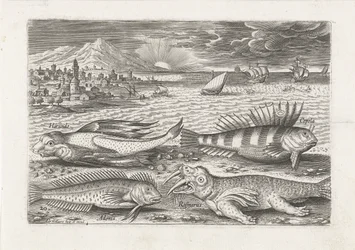 Some Fish and a Walrus on the Beach