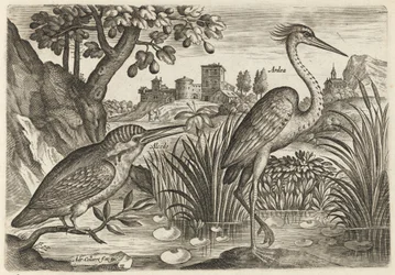 Kingfisher and Grey Heron