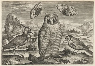 Lapwing, Long-Eared Owl, and Goldfinch