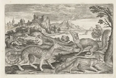 Martens, Squirrels, and a Fox (series title: Four-Legged Animals, Animalivm Qvaddrvpedvm)