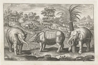 Elephants and Rhinoceros